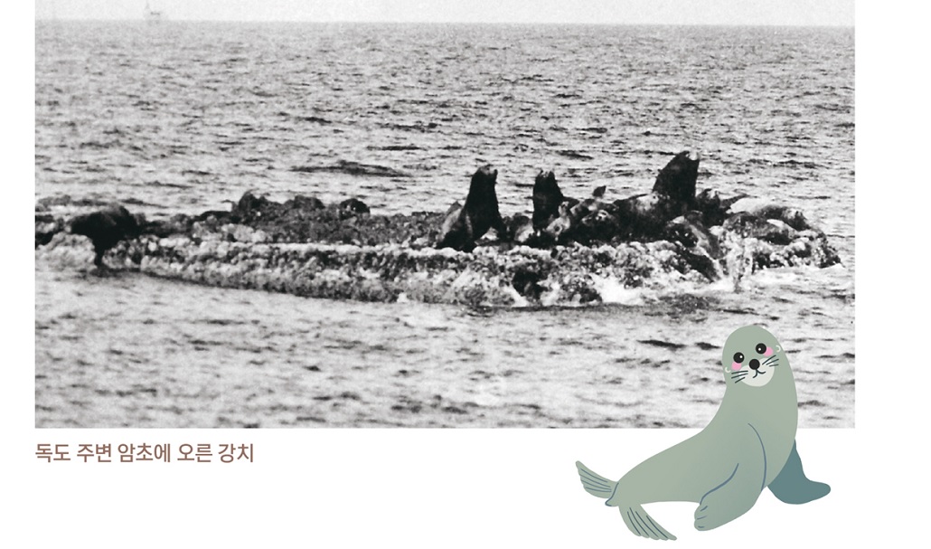 강치야독도야동해바다야_1