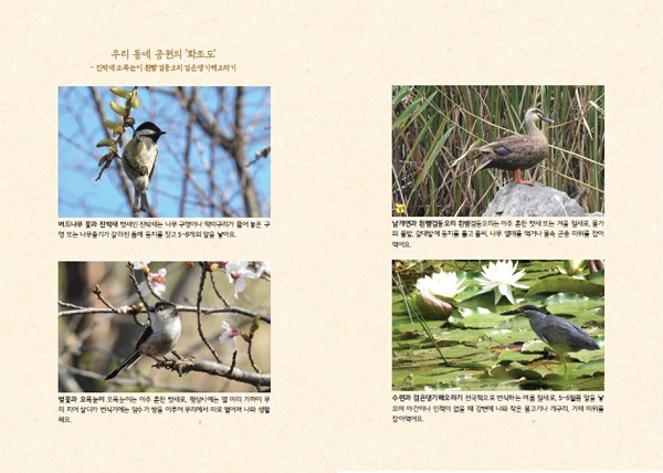 동네 공원 새 관찰하기_3