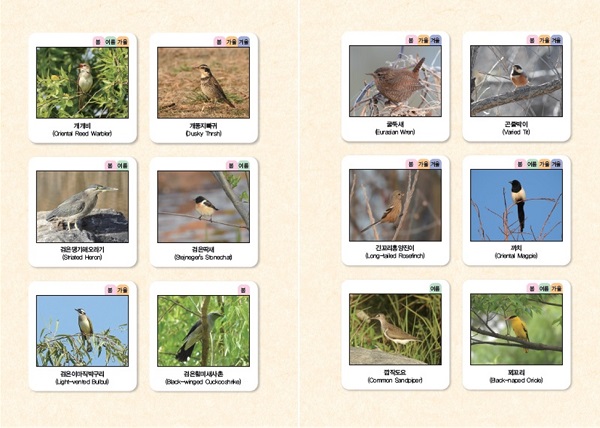 동네 공원 새 관찰하기_4