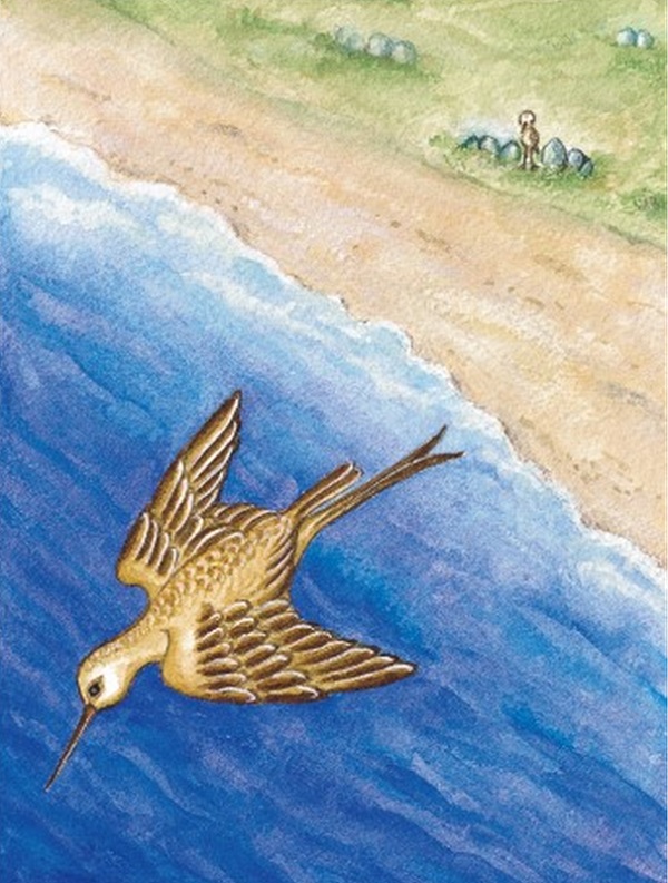 새는 뒤로 날지 않는다_3