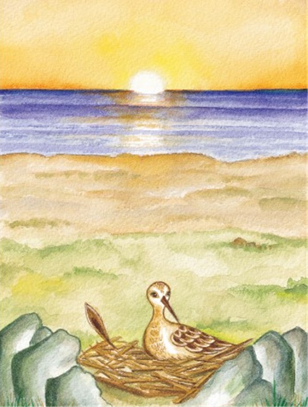 새는 뒤로 날지 않는다_7